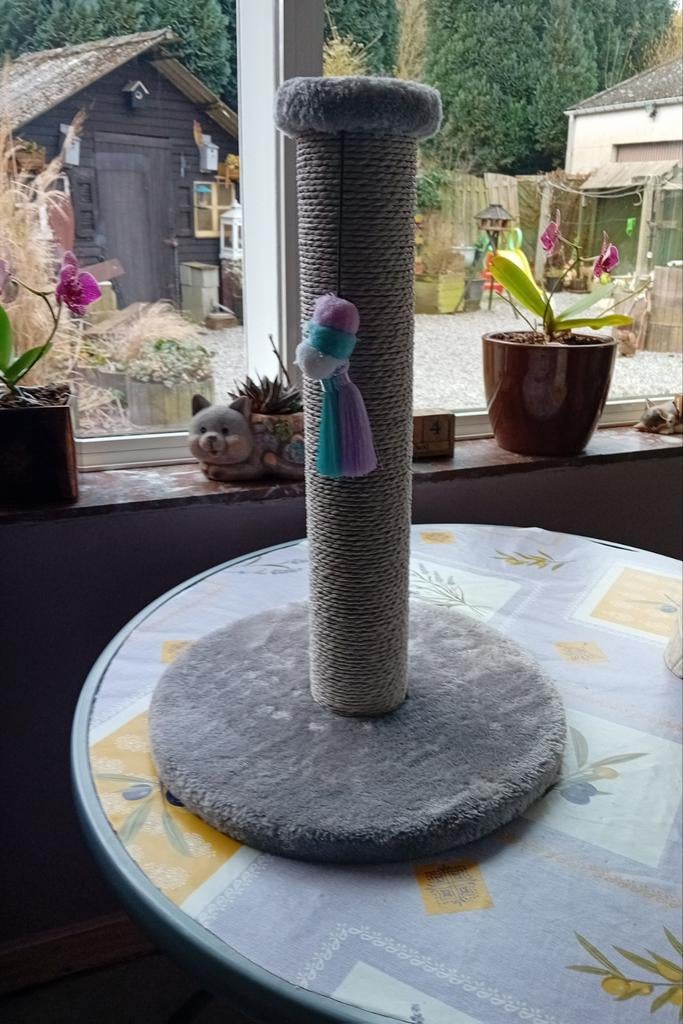 Arbre à chat, Animaux & Accessoires, Enlèvement