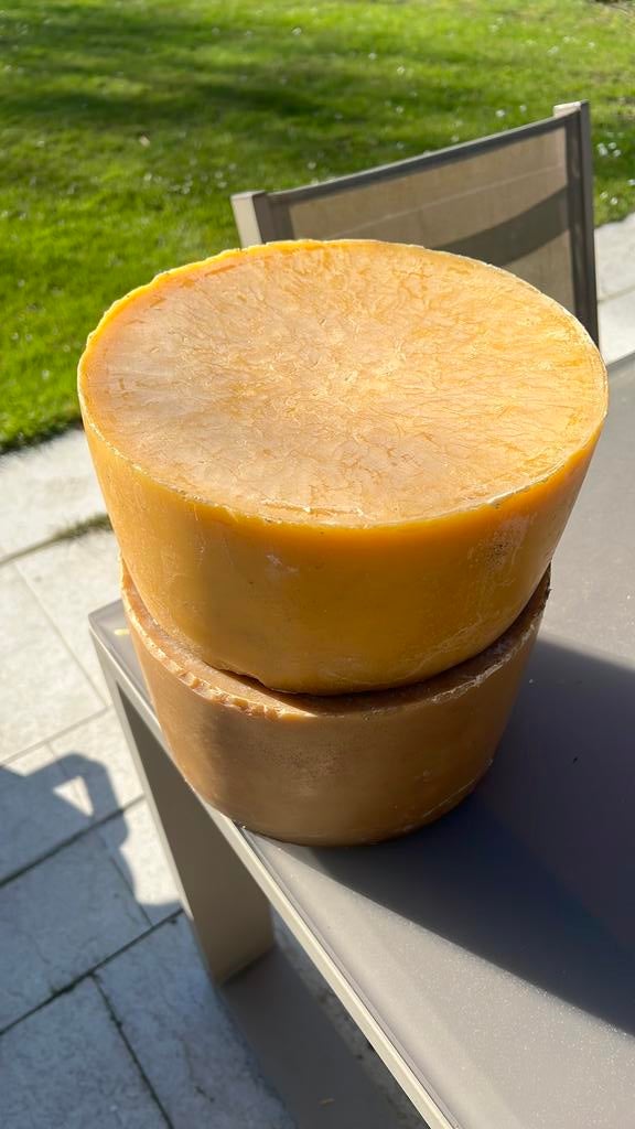 Bijenwas van de imker, Dieren en Toebehoren, Insecten en Spinnen, Bijen