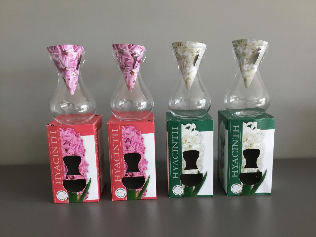Hyacint vaasjes, Ophalen, Nieuw