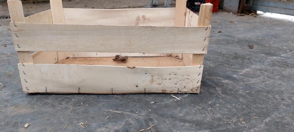 Houten kistjes, Doe-het-zelf en Bouw, Kratten en Dozen, Ophalen