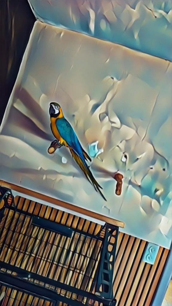 Echange avec voiture ou véhicules proposer moi, Particulier, Électrique, Achat, A6