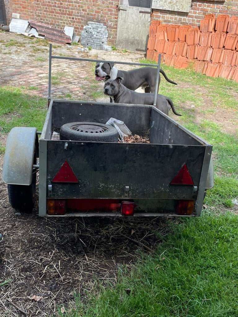 Kleine aanhangwagen, Enlèvement, Comme neuf