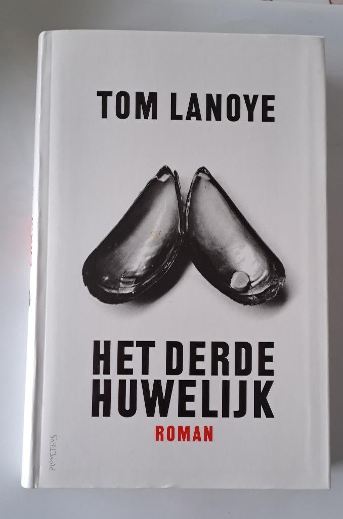 Boek Het Derde Rijk van Tom Lanoye, Boeken, Romans, Ophalen of Verzenden, Zo goed als nieuw, Tom Lanoye