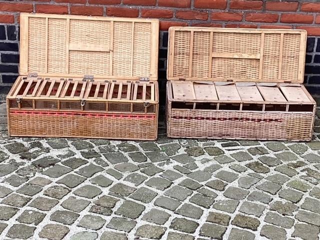 Duivenkeef, Dieren en Toebehoren, Vogels | Hokken en Kooien, Ophalen