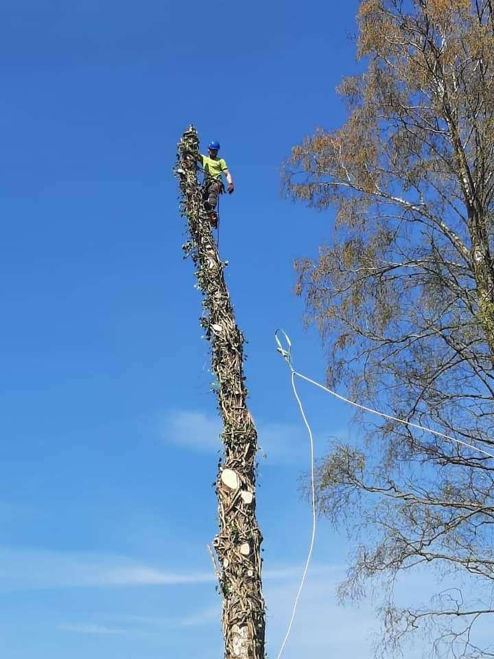 Boomverzorger, Ophalen