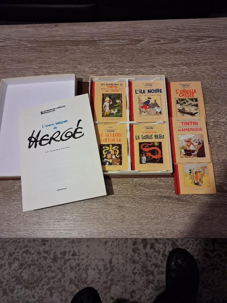 integrale Tintin rombaldi 13 volumes, Livres, Enlèvement