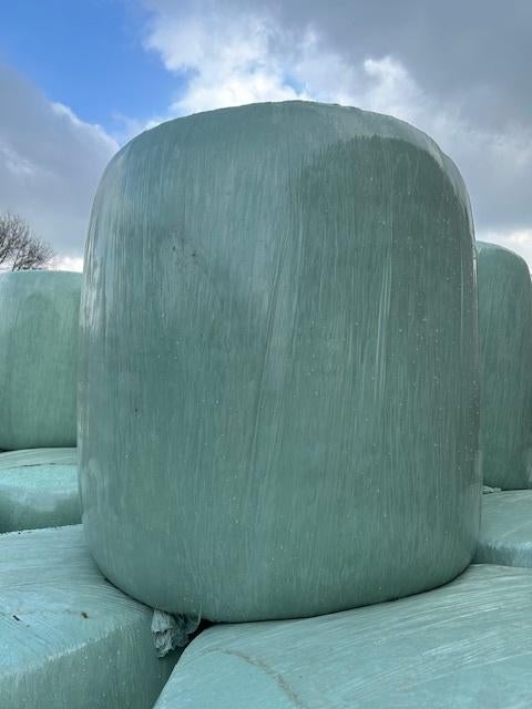 Maïsbalen te koop, Dieren en Toebehoren, Ophalen