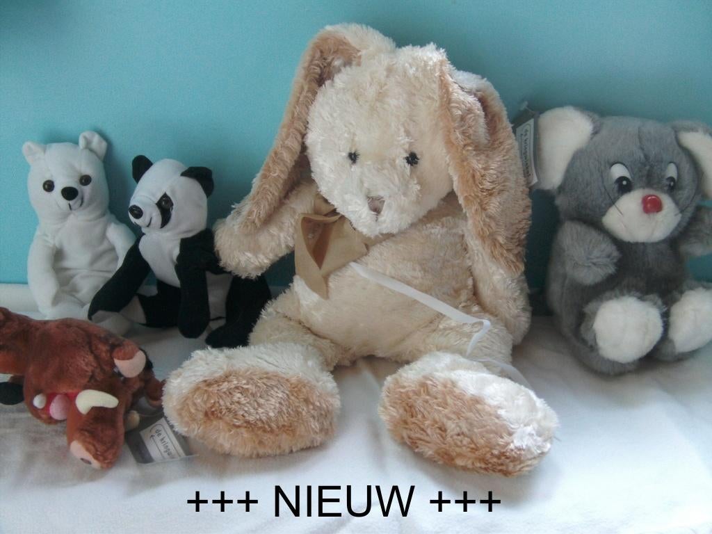 olifant hond rups muis draak konijn beer panda varken, Ophalen of Verzenden, Nieuw, Beer