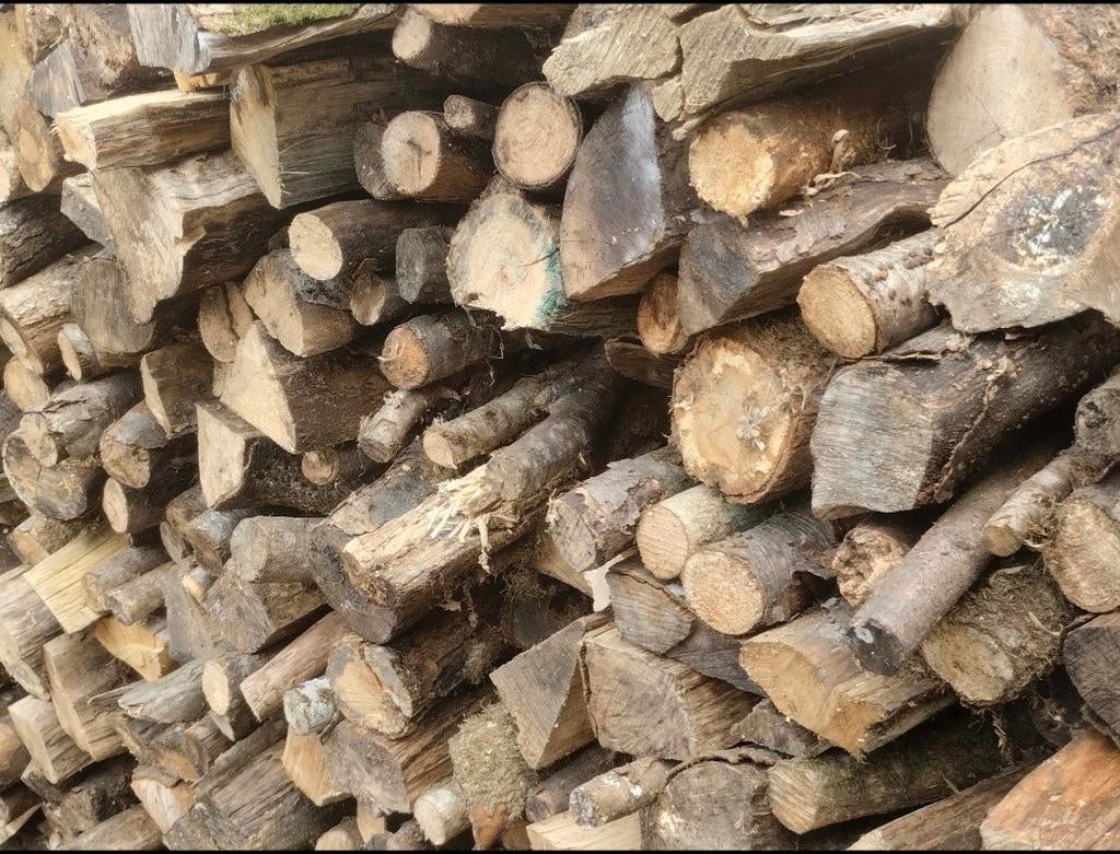 Bois a vendre en 1m, Enlèvement, Bouleau