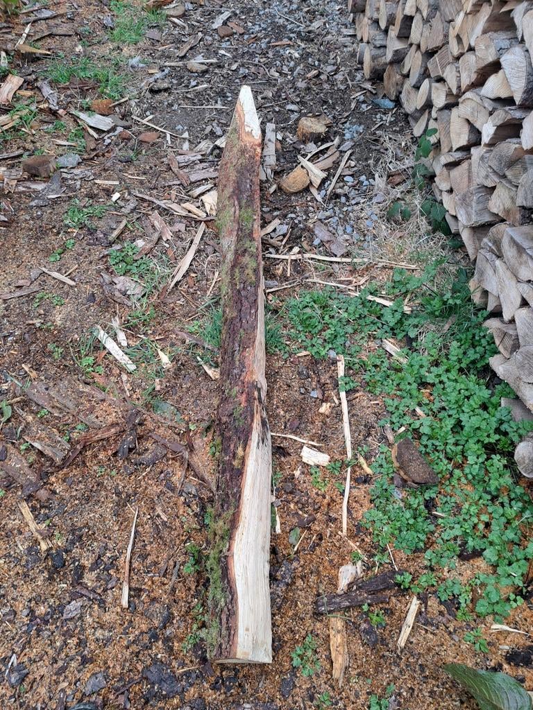 Piquets de chêne, Enlèvement ou Envoi