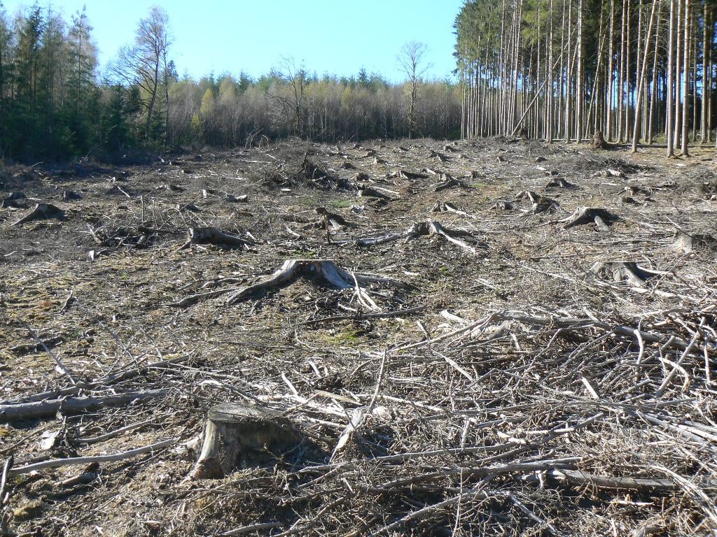 fonds de bois à route de 60 ares, Immo, Terrains & Terrains à bâtir, 1500 m² ou plus