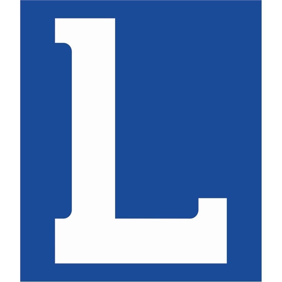 DRINGEND: Begeleider gezocht voor rijbewijs (M36), Auto's, Overige Auto's, Particulier, Te koop