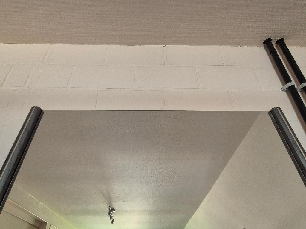 Spiegel 100 cm  205 cm staand rechthoekig full body, Enlèvement, Utilisé, 200 cm ou plus, Rectangulaire