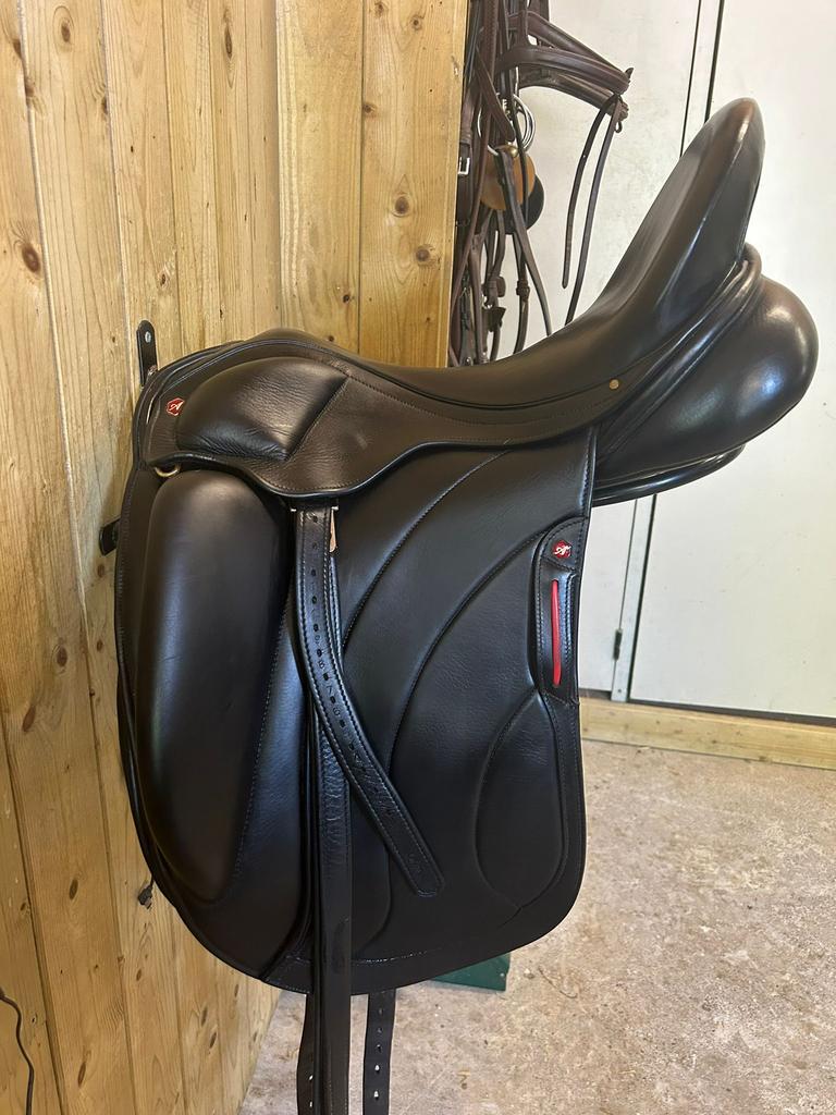 Albion revelation, Ophalen, Dressuur