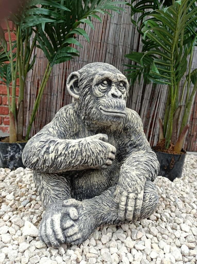 Aap tuinbeeld, Tuin en Terras, Ophalen, Nieuw, Steen, Dierenbeeld