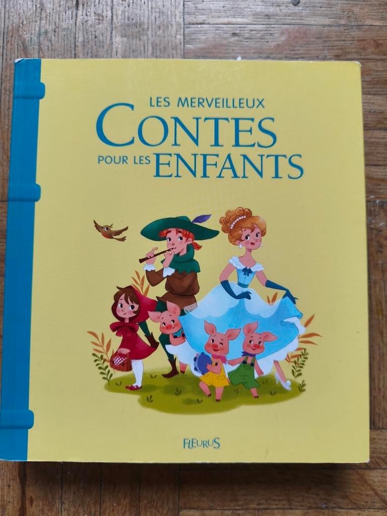 Histoire (Fleurus), Livres, Contes & Fables, Enlèvement, Comme neuf