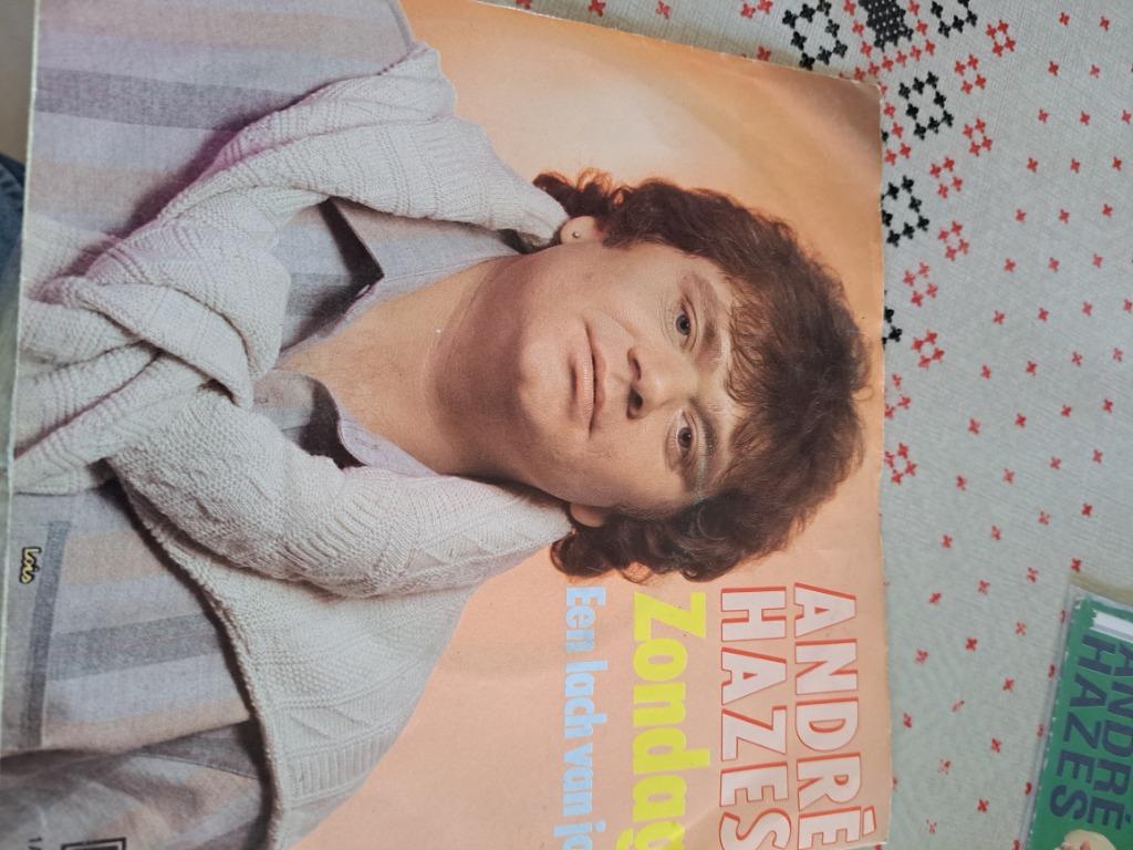 Andre hazes, Cd's en Dvd's, Vinyl | Nederlandstalig, Ophalen of Verzenden