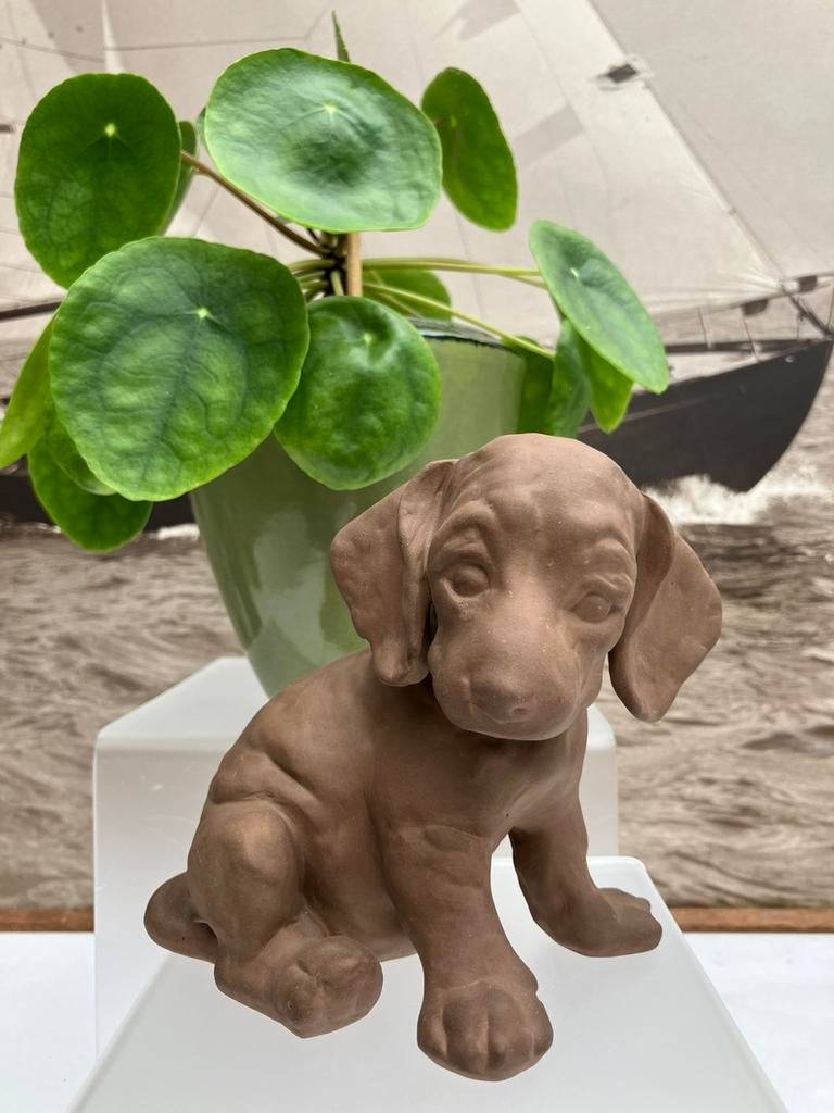 Teckel puppy van Karlsruher Majolika, Hummel, Mod. 5237, Ophalen of Verzenden, Zo goed als nieuw, Hummel