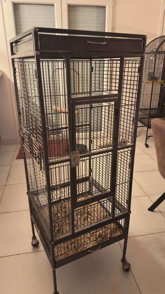 Petite cage a oiseaux, Enlèvement, Utilisé, Aluminium, Cage à oiseaux