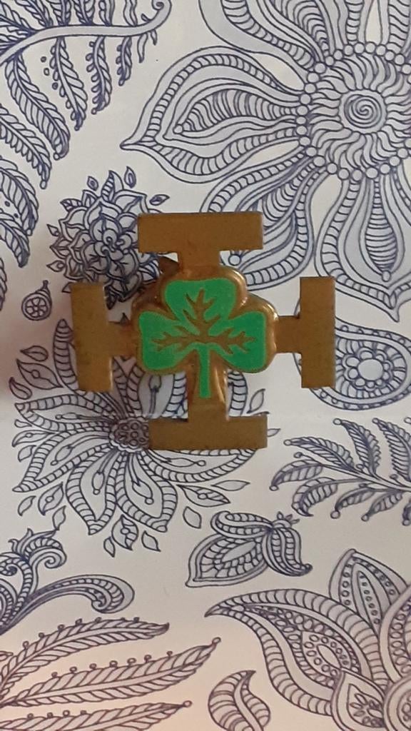 § badge guide flamand scoutisme, Collections, Enlèvement ou Envoi, Utilisé, Emblème, Broche ou Badge