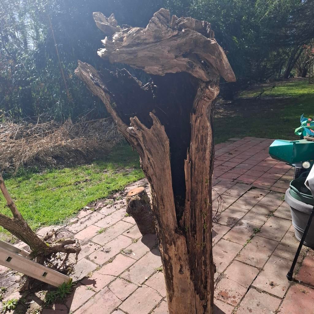 Souche décorative, finition à la demande., Enlèvement, Bois, Boho