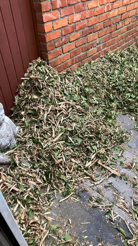 Gratis hakselhout, Enlèvement, Neuf