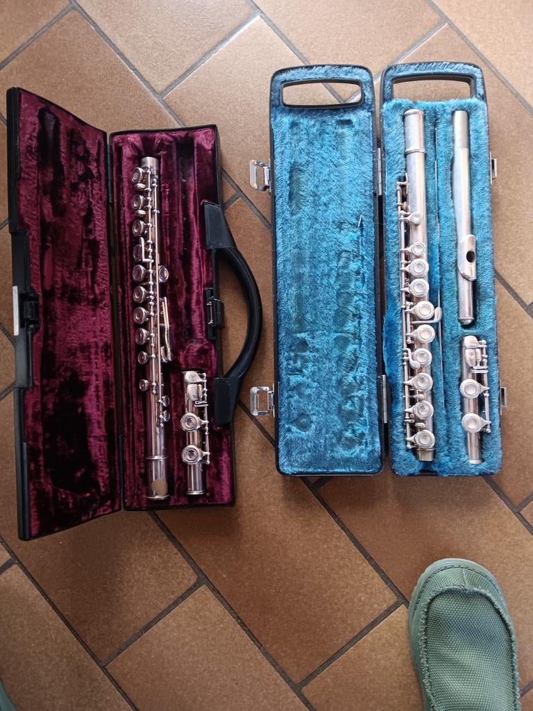 Flûte traversière, Musique & Instruments, Accordéons, Enlèvement