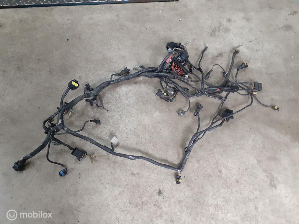 Kabelboom origineel draadboom Monster 1000, Motoren, Onderdelen | Ducati, Gebruikt, Ophalen of Verzenden