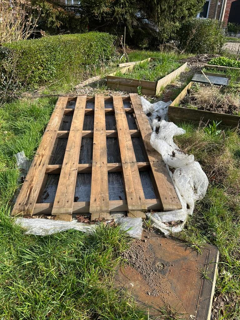 Groot pallet gratis, Doe-het-zelf en Bouw, Ophalen, Gebruikt, Pallet