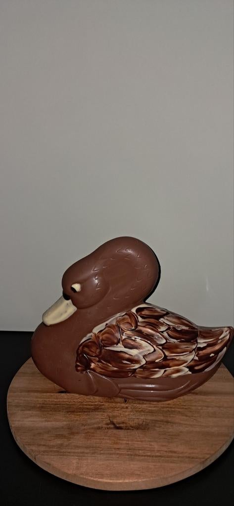 Chocolade vorm zwaan, Ophalen of Verzenden