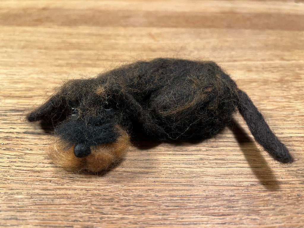 Teckel  stof, Ophalen, Zo goed als nieuw