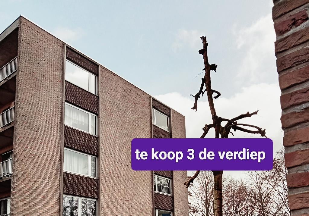 studio, 35 à 50 m², Province de Flandre-Occidentale