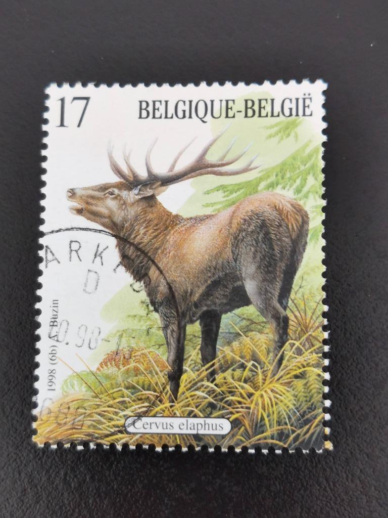 Belgique 1998 - Mammifères des Ardennes - Cerf élaphe, Enlèvement ou Envoi, Affranchi, Autre