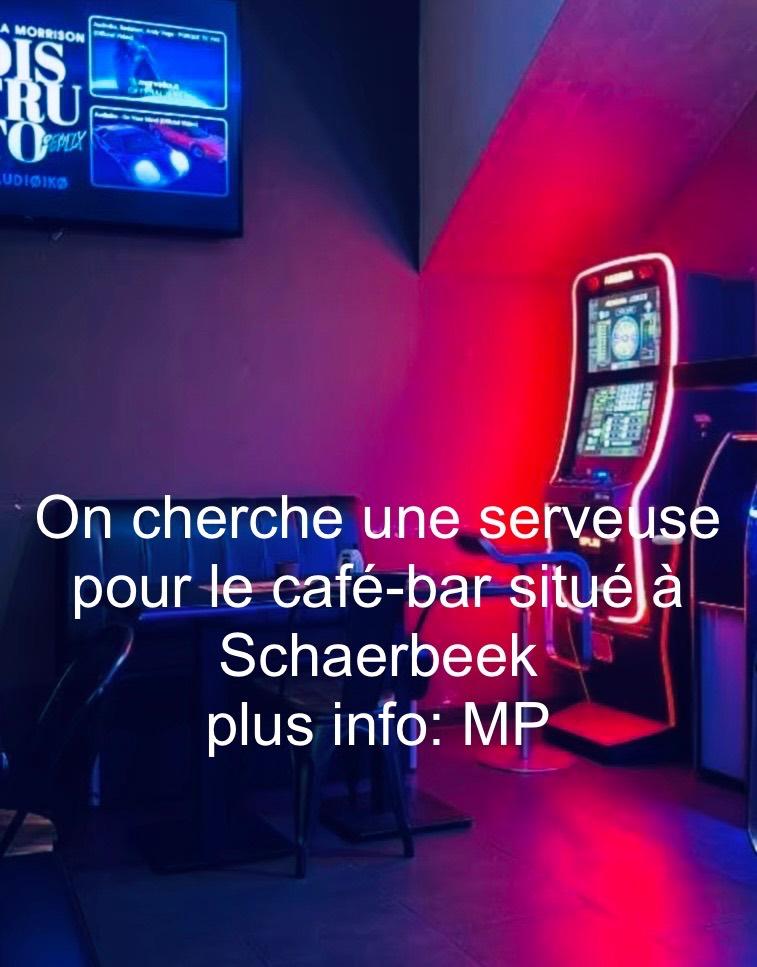 Recherche Serveuse