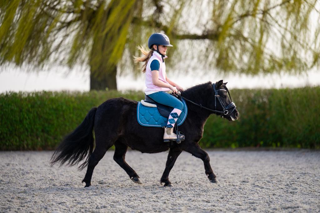 Knappe gereden en betuigde shetlander merrie, Dieren en Toebehoren, Zadelmak, A pony (tot 1.17m), 3 tot 6 jaar, Recreatiepony