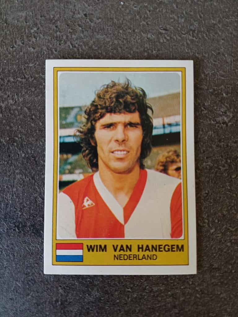 Panini Euro Football 76 Van Hanegem Nr 199, Verzenden