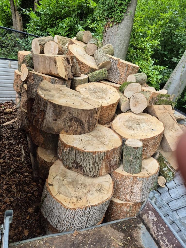 Es brandhout, Enlèvement