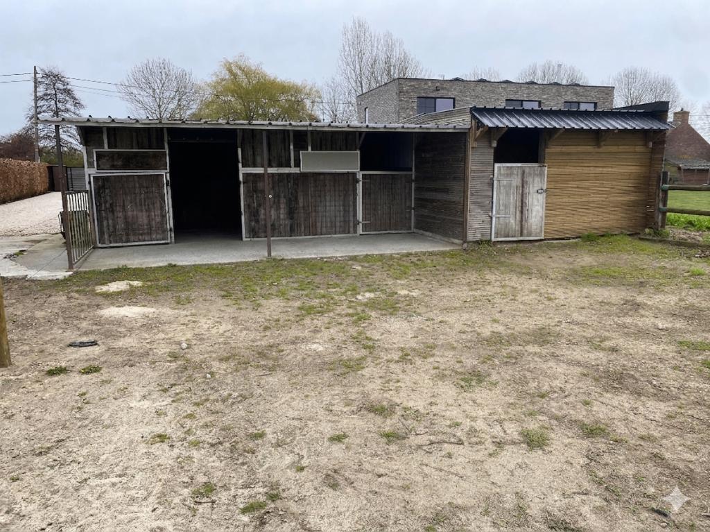 paardeweide te huur, Weidegang, 2 of 3 paarden of pony's