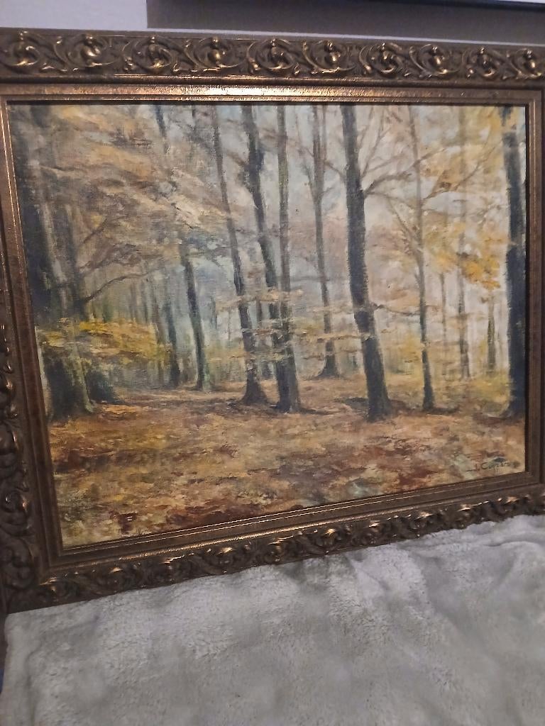 Huile sur toile. Bois en automne., Antiquités & Art, Enlèvement ou Envoi
