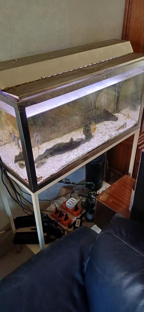 Aquarium gratis met nog 1 vis, Enlèvement