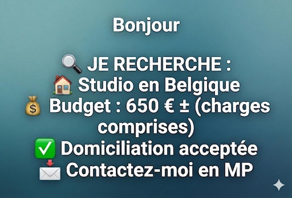 JE RECHERCHE STUDIO : TOUTE BELGIQUE (Wallonie/Flandre), Immo, Appartements & Studios à louer, Province de Liège