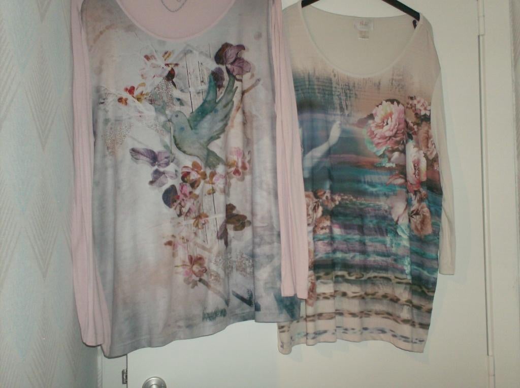2 mooie bloesjes maat 46  paola en laura kent, Kleding | Dames, Laura kent &paola, Maat 46/48 (XL) of groter, Ophalen of Verzenden