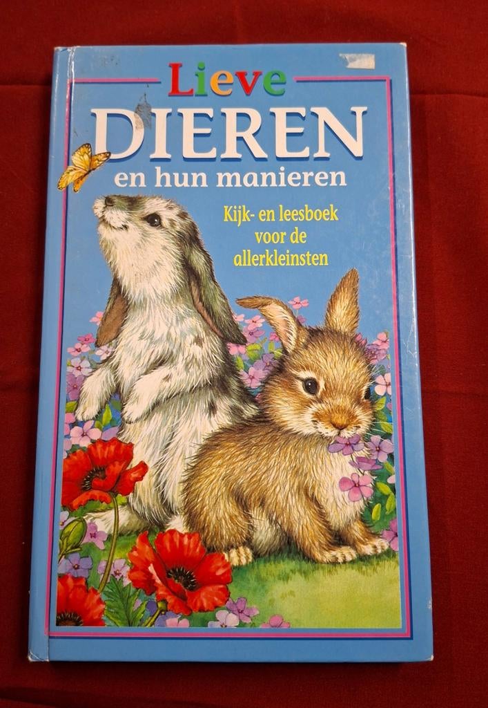 Kinderboek : dieren en hun manieren / Lisa McCue, Ophalen of Verzenden
