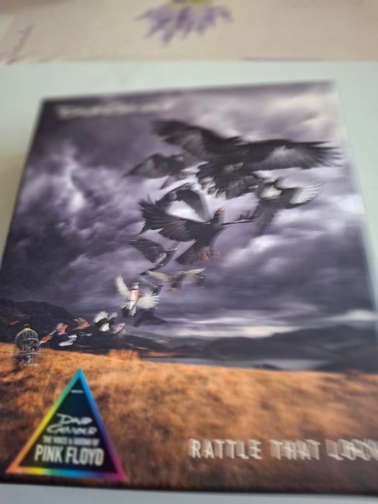 David gilmour cd box, Ophalen of Verzenden