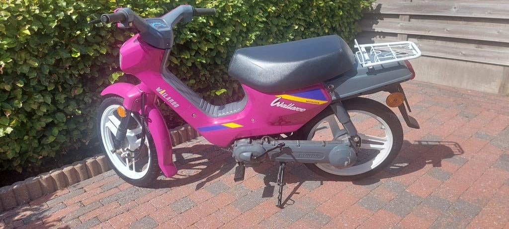 Wallaroo b klasse, Ophalen