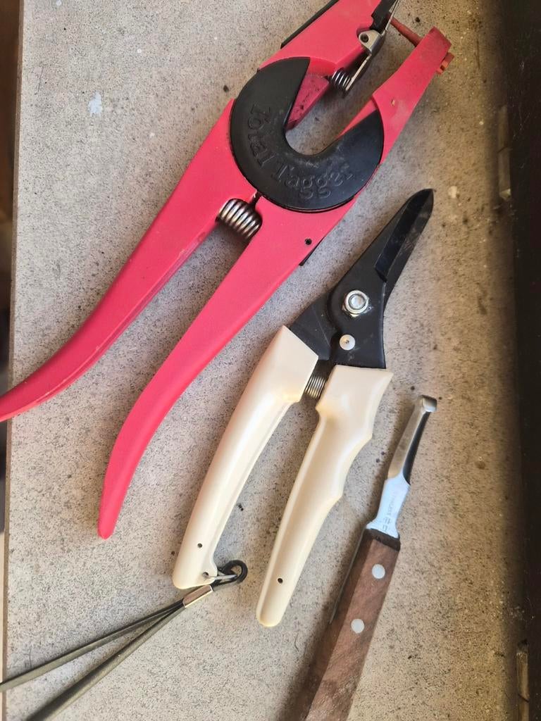 Schapen tools, Dieren en Toebehoren