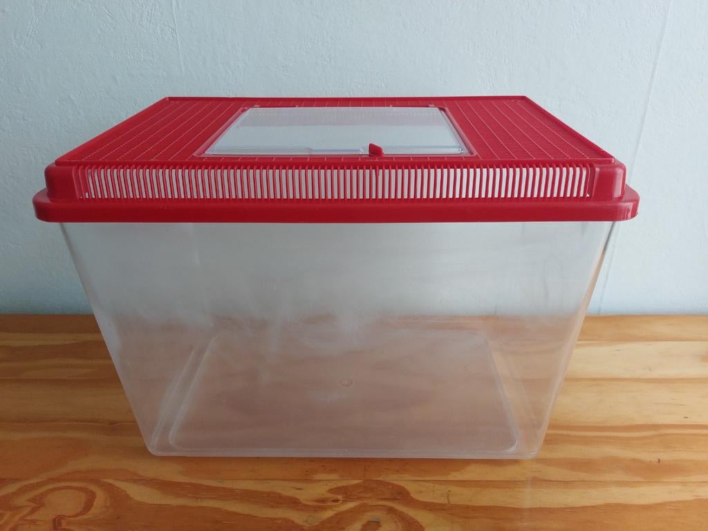 Aquarium, Animaux & Accessoires