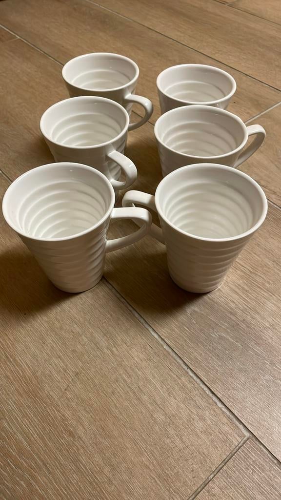 6 hoge royal&boch tassen, Enlèvement ou Envoi