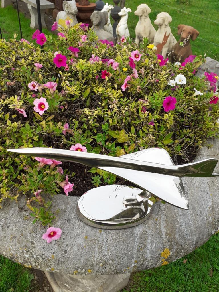 Concorde aluminium vliegtuig, Verzamelen, Overige Verzamelen, Zo goed als nieuw, Ophalen of Verzenden