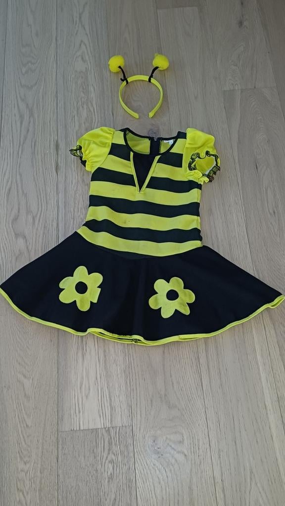 Verkleedkleding bijtje, Ophalen